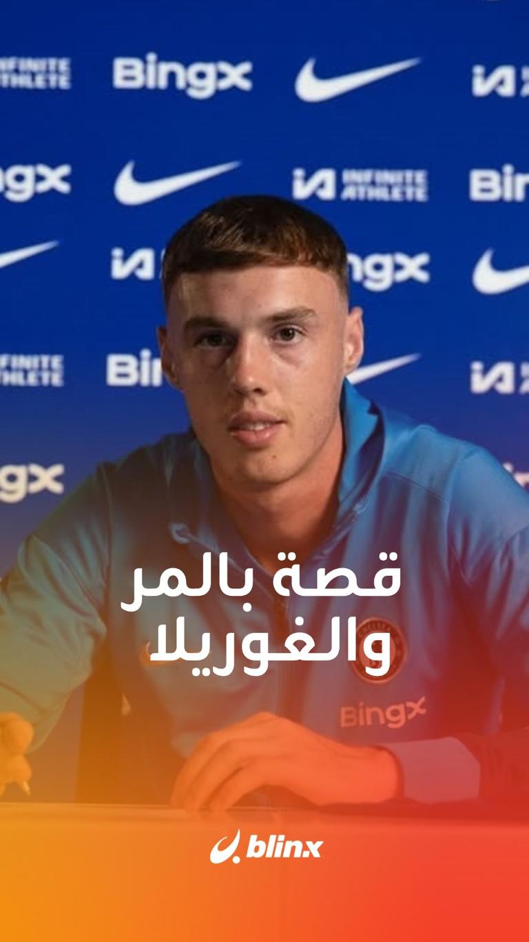 قصة بالمر والغوريلا