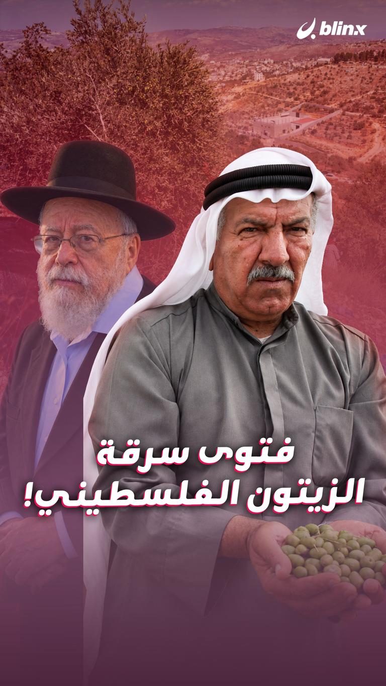 فتوى سرقة  الزيتون الفلسطيني!