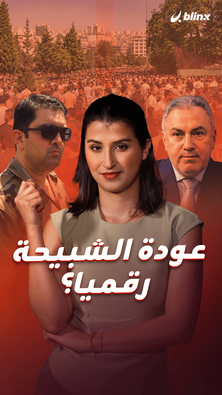 عودة الشبيحة رقميا؟