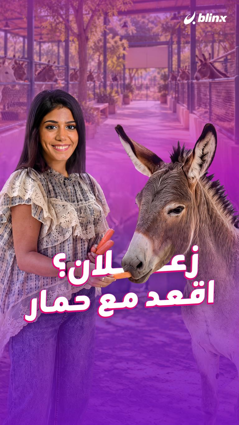 زعلان؟ اقعد مع حمار