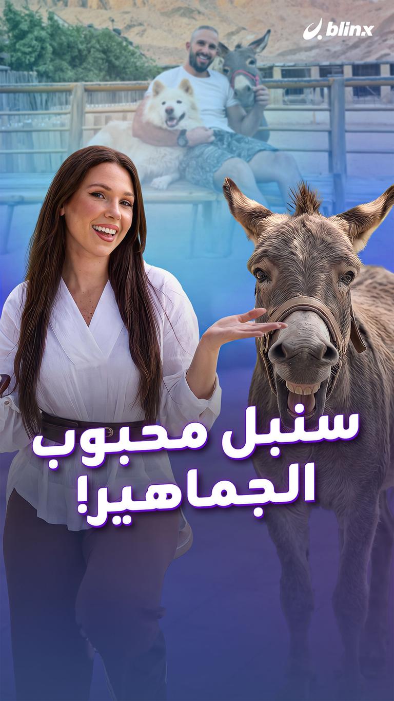 سنبل محبوب الجماهير!