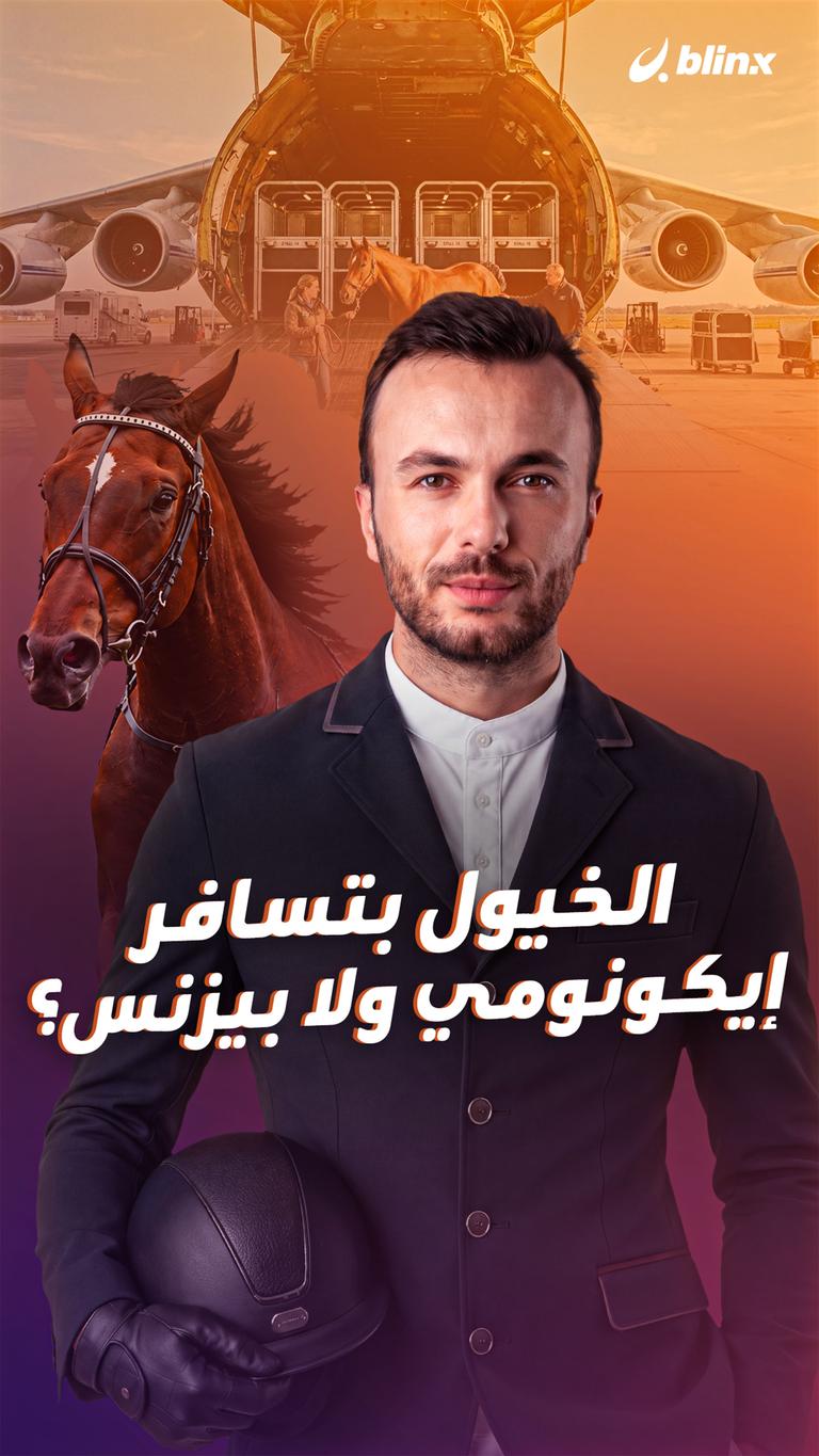 الخيول بتسافر إيكونامي ولا بيزنس؟