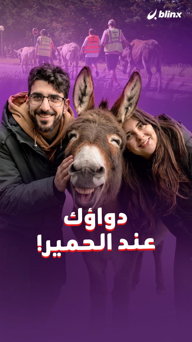 دواؤك عند الحمير!