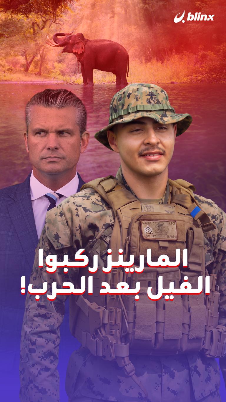 المارينز ركبوا الفيل بعد الحرب!