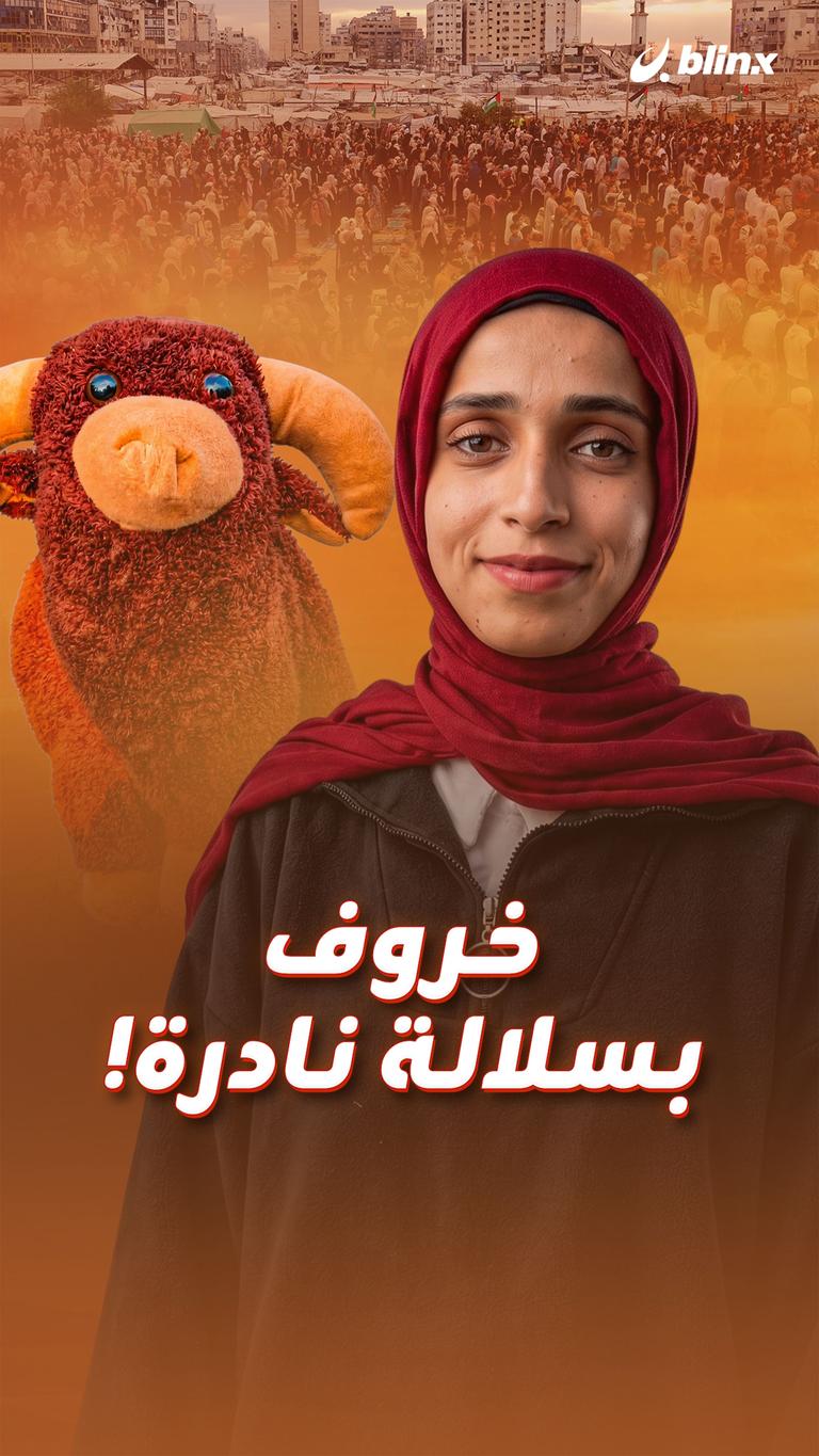 خروف بسلالة نادرة!