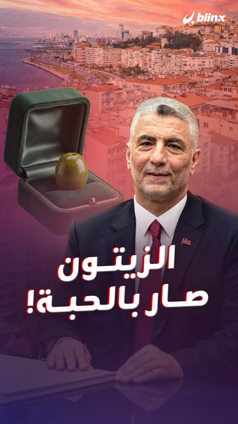 الزيتون صار بالحبة!